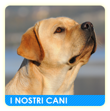 I nostri cani